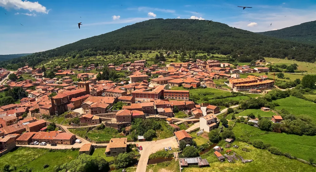 Vista aerea de un municipio de la comarca de pinares de Soria, rodeado de pinar con las tradicionales casas serranas de piedra y teja rojiza antigua